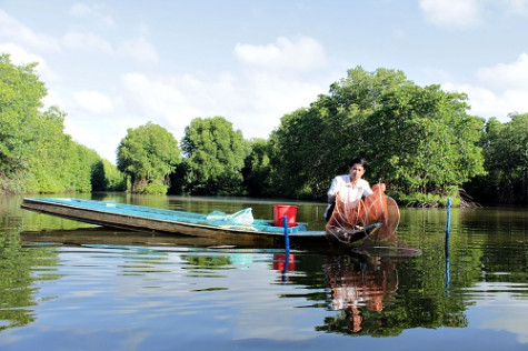 Phát triển phải bền vững