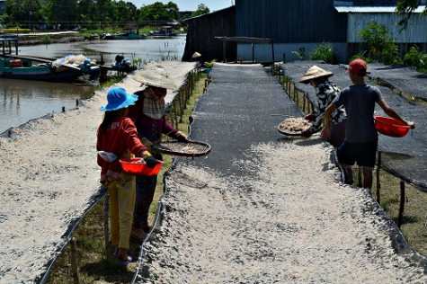 Tân Hải phát huy nội lực để giảm nghèo
