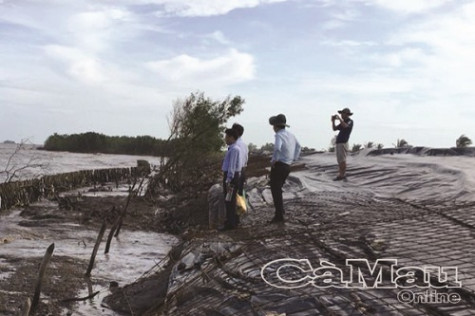 Khẩn cấp cứu hộ đê biển Tây