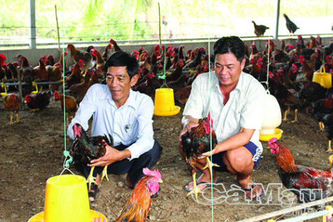 Phát triển sản xuất nhờ vốn vay Quỹ Hỗ trợ nông dân