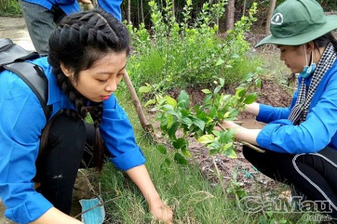 Tôi "lớn hơn" qua mùa hè xanh