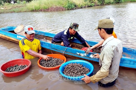 Lan toả phong trào học và làm theo Bác