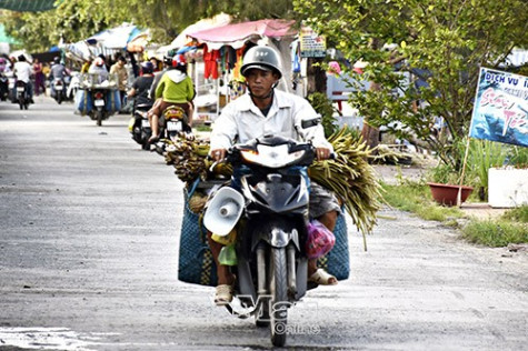 Tăng cường quản lý các hoạt động  văn hoá gây tiếng ồn