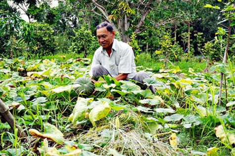 Sổ vàng nêu gương