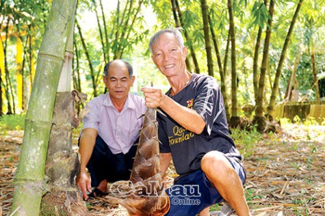 Sống vui, sống khoẻ