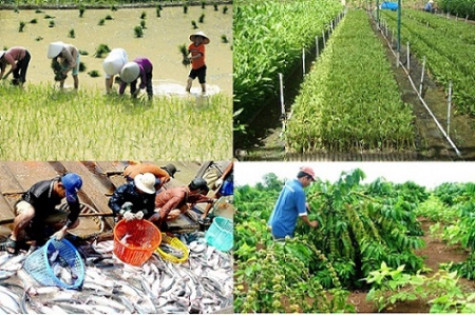 Tăng mức cho vay hộ nông dân khi không có tài sản bảo đảm