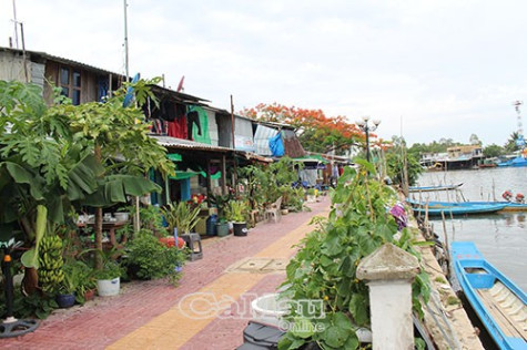 Phó chủ tịch UBND huyện Thới Bình: ​Chủ tịch UBND thị trấn Thới Bình  phạt các hộ dân ở Khóm 8 là đúng