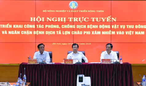 Hành động quyết liệt ngăn chặn dịch tả heo châu Phi xâm nhiễm