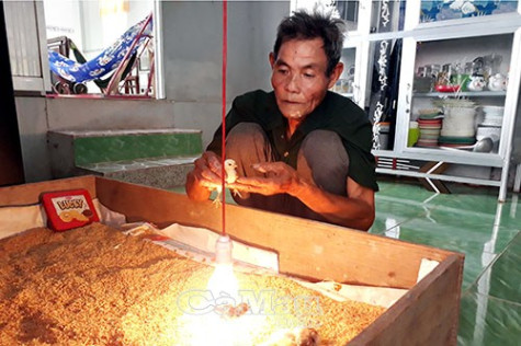 Tuổi càng cao càng hăng say lao động