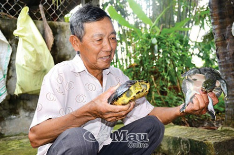 Về Mỹ Hưng nghe chuyện  ông Hai Lùng