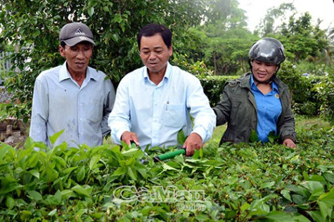 Sức bật nghị quyết chuyên đề