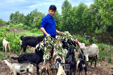 Chủ trại dê “áo xanh”