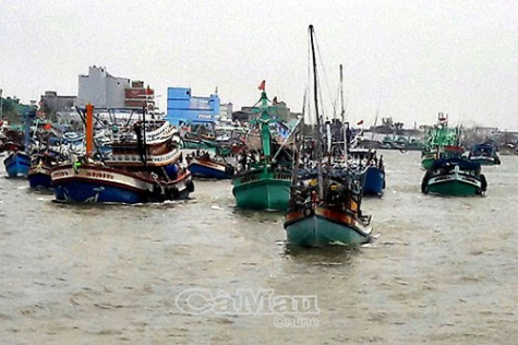 Tăng cường giám sát tàu cá