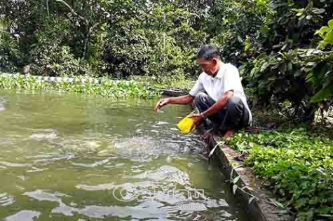 U70 vẫn làm kinh tế giỏi