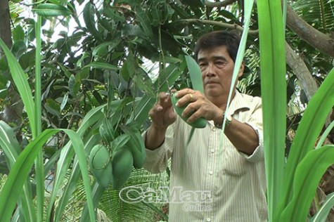 Tuổi cao, ý chí càng cao