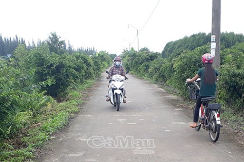 Sắc mới Tân Ân Tây