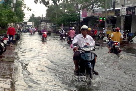 Nhiều khu vực TP. Cà Mau ngập do mưa lớn