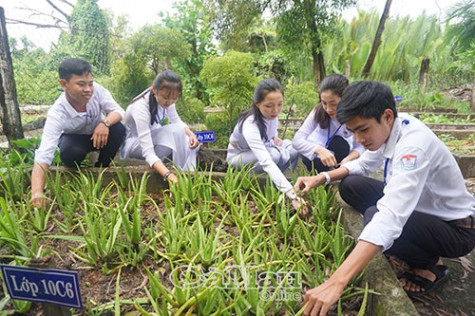 Sinh động mô hình làm theo Bác  trong học đường