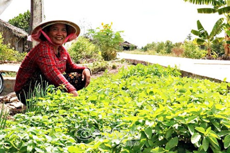 Nâng cao hiểu biết từ CLB chăm sóc sức khoẻ sinh sản