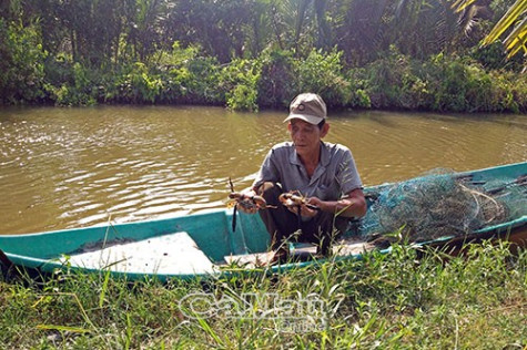 Ấp nghèo chuyển mình