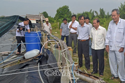 “Giám sát từ xa, kiểm tra  có trọng tâm, trọng điểm”