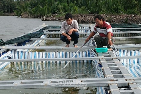 Thu nhập ổn định, các tiêu chí sẽ dễ đạt hơn