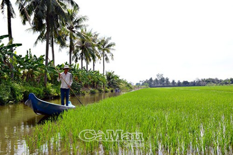 Đồng đất  trở mình