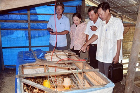 Đa dạng hoá sinh kế
