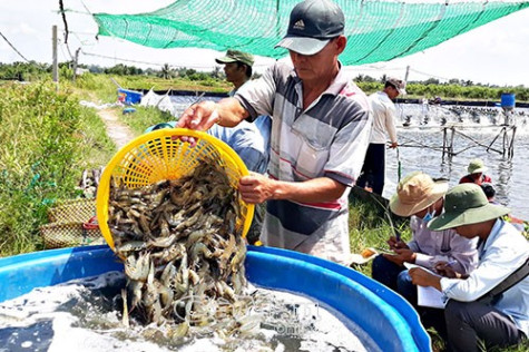 Ngành thuế sẽ “cán đích” sớm