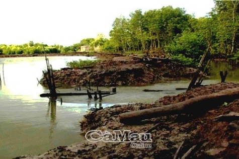 Xuất hiện thêm đợt triều cường mới, gây nhiều thiệt hại