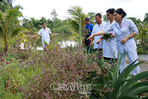 Từ tâm làm thiện