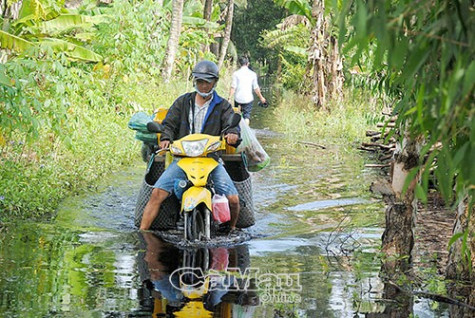 Cảnh báo triều cường dâng cao