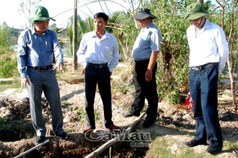 Đến cuối năm phải chấm dứt tình trạng hộ không đủ điều kiện vẫn nuôi tôm công nghiệp