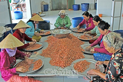 Tăng sức cạnh tranh cho nhãn hiệu độc quyền
