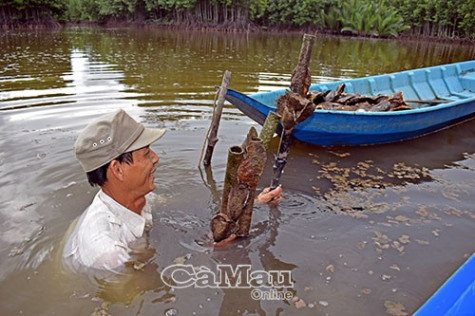 Cựu chiến binh Lê Hữu Chánh gương mẫu học Bác