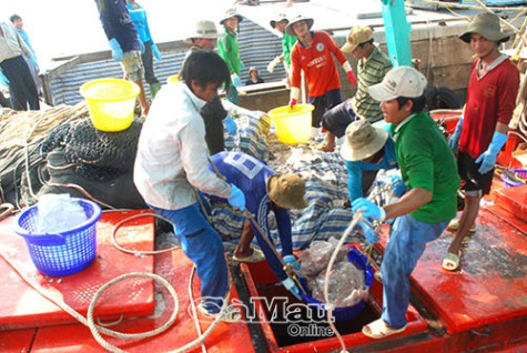 Góp sức gỡ bỏ thẻ vàng của Uỷ ban Châu Âu
