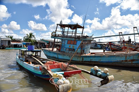 Ăn nên làm ra nhờ con ruốc