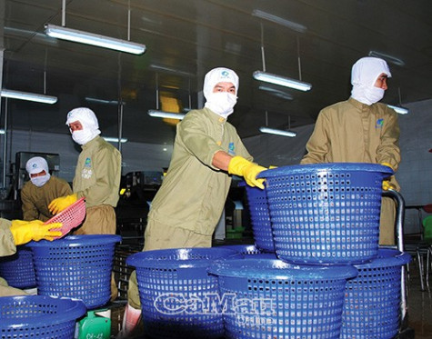 Công nghiệp chế biến nông sản: Tiến tới chuyên môn hoá và bền vững
