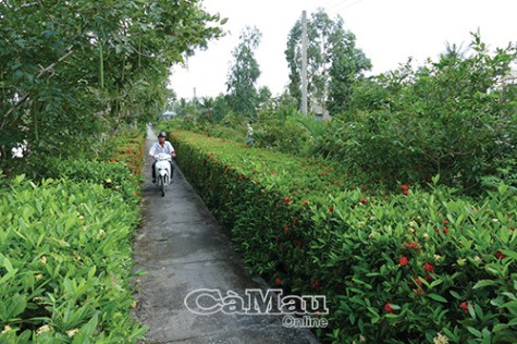 Vai trò nêu gương của cán bộ, đảng viên