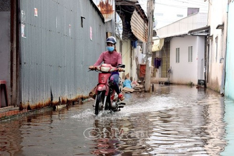 Triều cường dâng cao tại Năm Căn