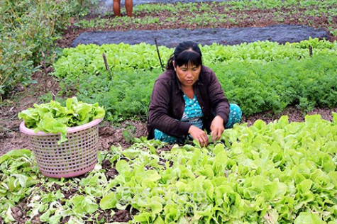 Phát huy sức mạnh khối đại đoàn kết