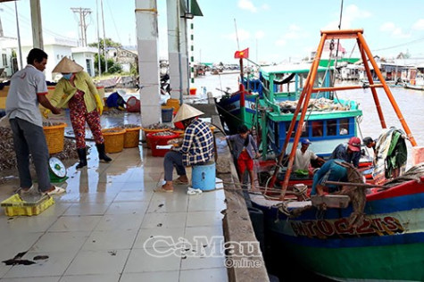 Siết chặt quản lý tàu cá