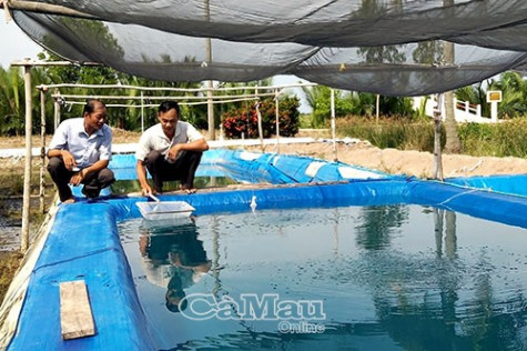 Đảng bộ xã Phú Hưng đẩy mạnh phong trào làm theo gương Bác