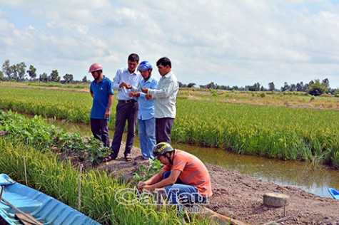 Tạo động lực cho kinh tế tập thể phát triển
