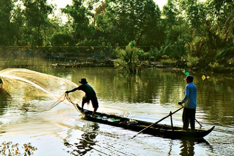 Tìm về những giá trị chân quê