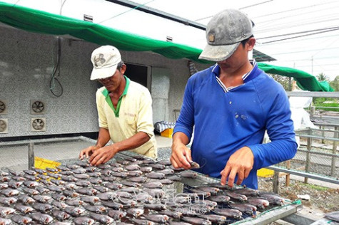 Nâng cao giá trị sản phẩm truyền thống