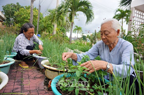 Những mảnh đời neo đơn