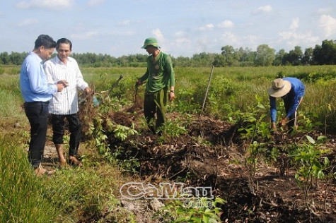 Nhiều mô hình kinh tế hiệu quả, mở ra hướng làm ăn mới cho nông dân