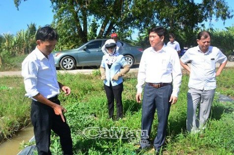 Nhanh chóng hỗ trợ các hộ trồng dưa bị thiệt hại do bão
