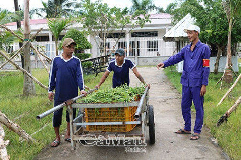 Đằng sau cánh cổng